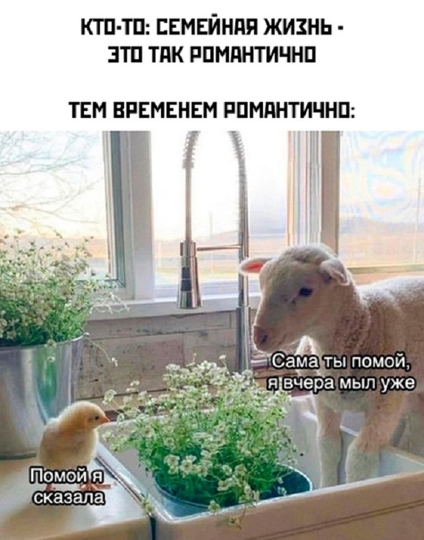 Картинки и мемы, всяко разно - 181
