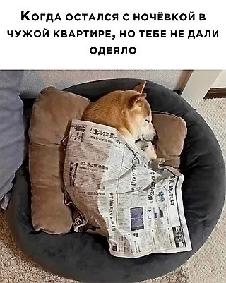 Так себе картинки 13.07.23