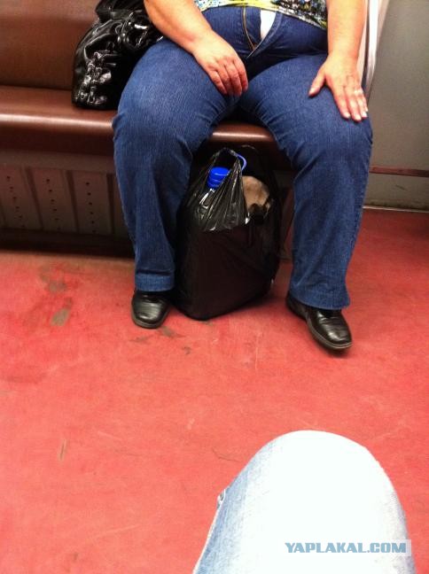 Всё потому, что кто-то слишком много ест! (с)