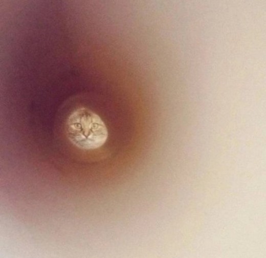 Скупка краденого из сети 09-08-2023