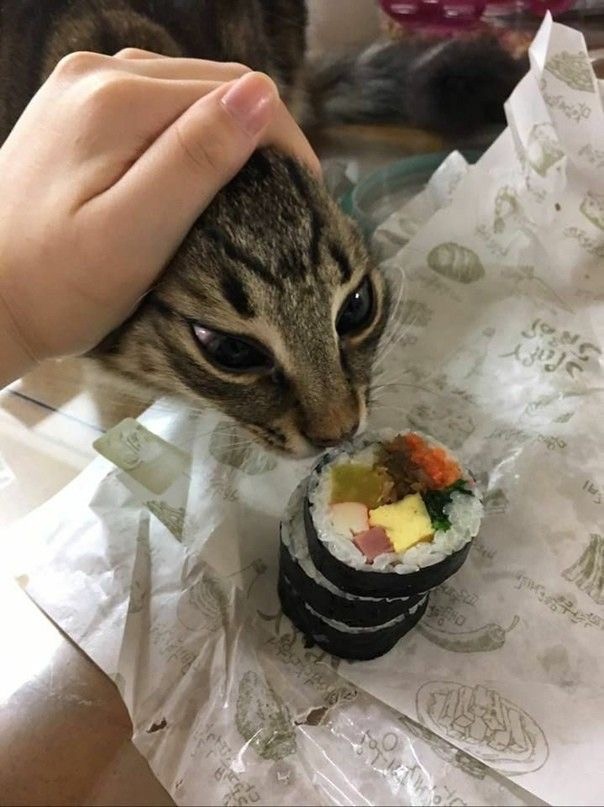 Такой маленький, а уже белорус