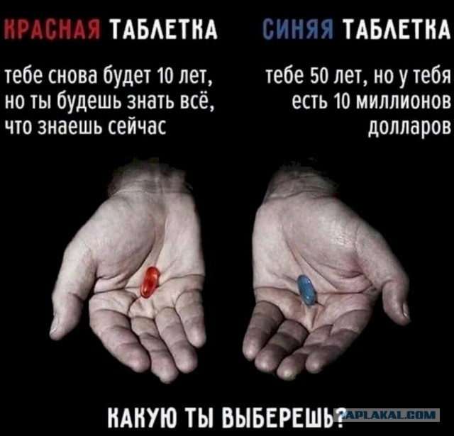 Всего понемногу. От 03.10.23
