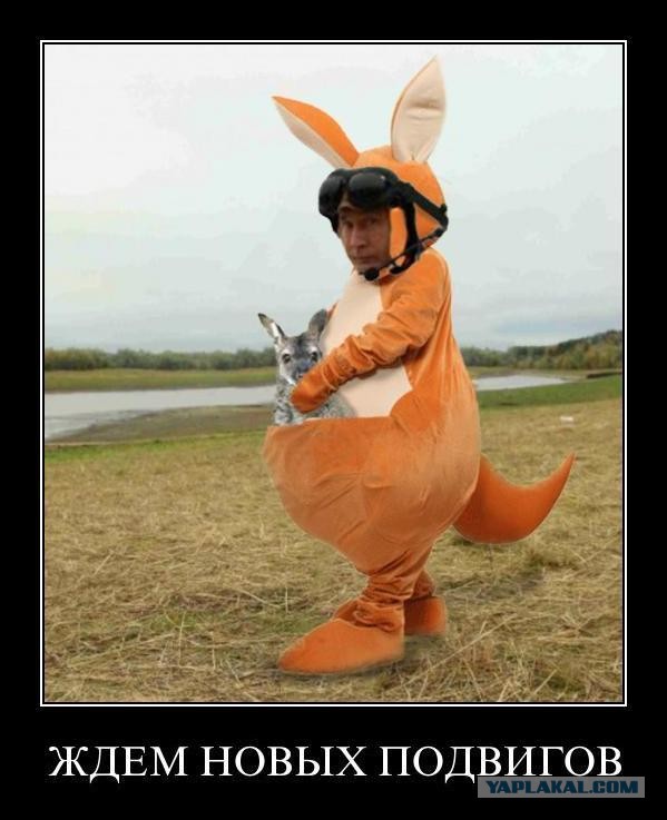 Мы не они. Они не мы..