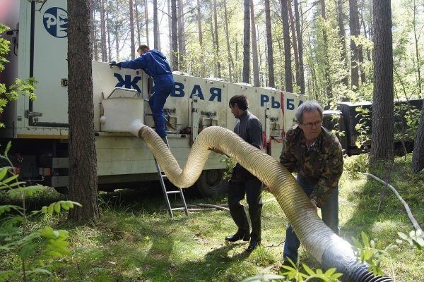 Так выглядит зарыбление водоема мальком