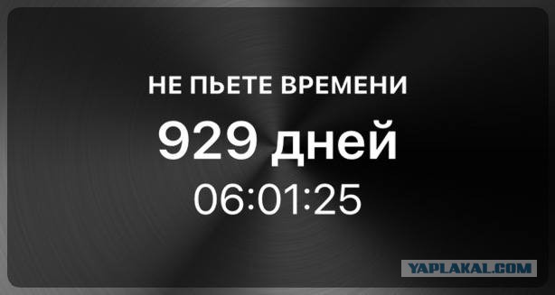 444 дня без алкоголя