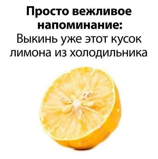 Нуштош 11.10.2024