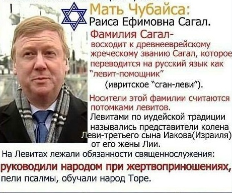 Володин призвал экстрадировать Чубайса в Россию
