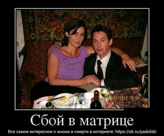 Прикольные и просто красивые картинки 01.11.2024