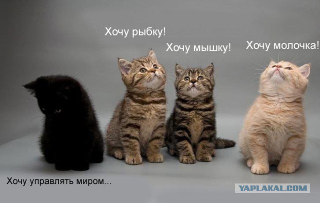 Картинков разных вам..