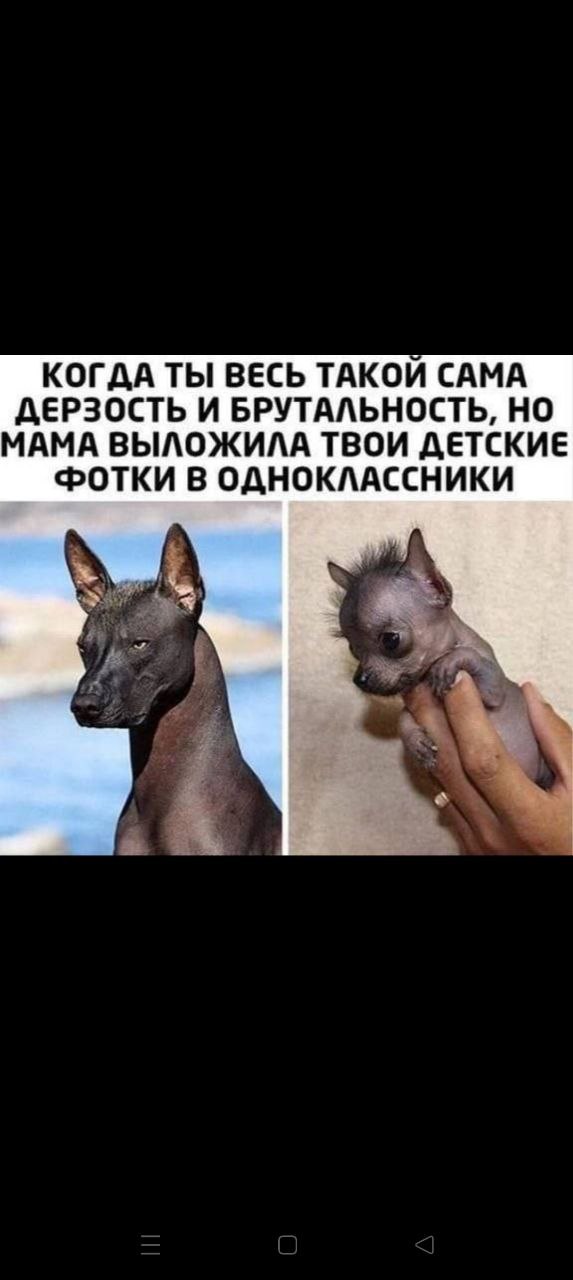 Картинки с надписями