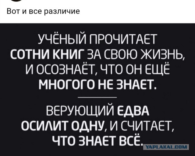 Веселое настроение в картинках (25.07.2025)
