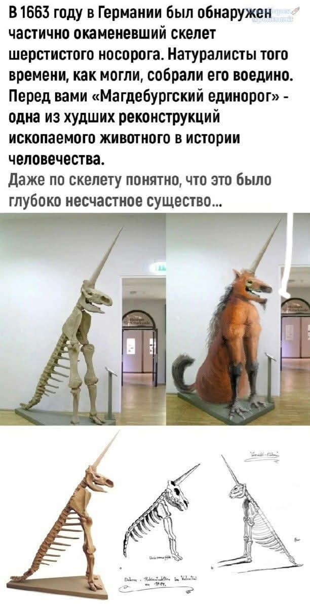 Так себе картинки 28.08.25