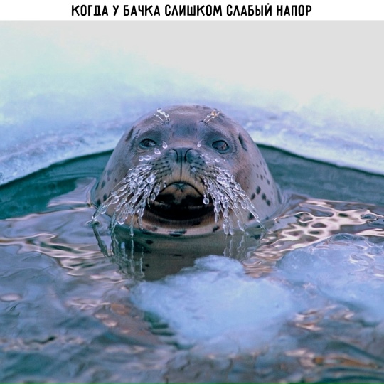 Картинки для деградации 44 (разной степени свежести)