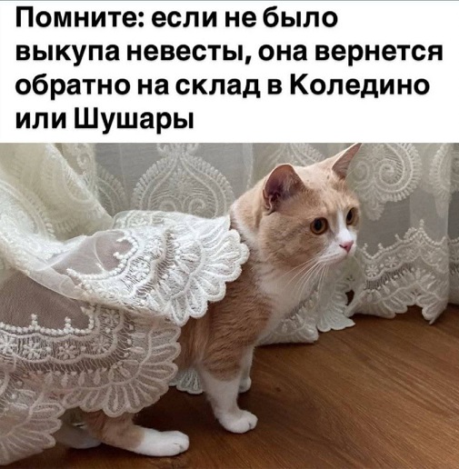 Картинки для деградации 55 (разной степени свежести)