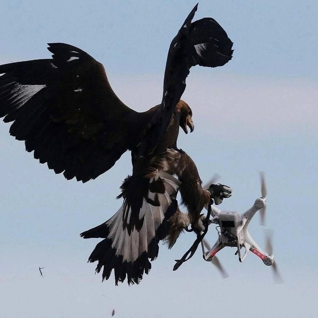 Напомню