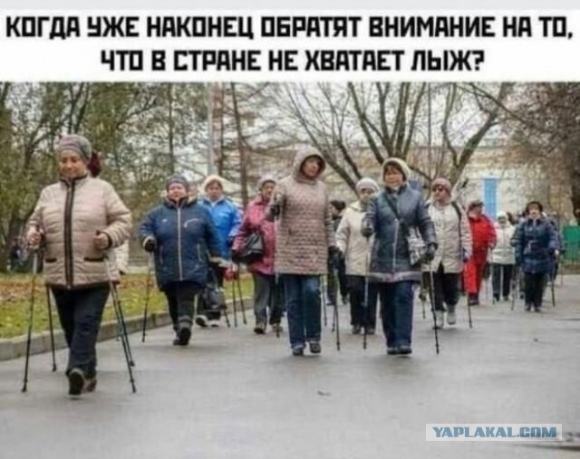 Картиночки, баянчики 11 декабря