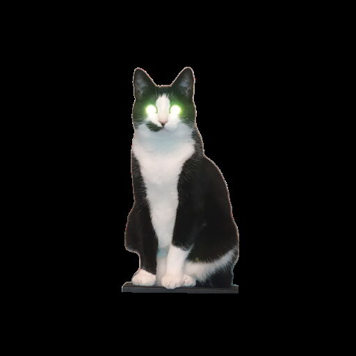 Котофторник