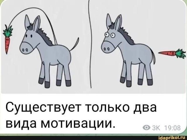 Картинки для деградации 207 (разной степени свежести)