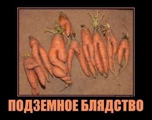 Срамота!