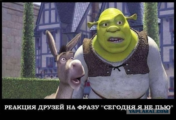 Пить или не пить...