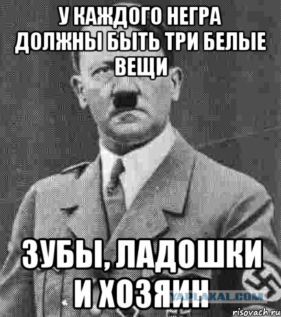 Новая игра в США-"Выруби белого"