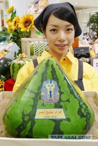 Тайны Великой Пирамиды