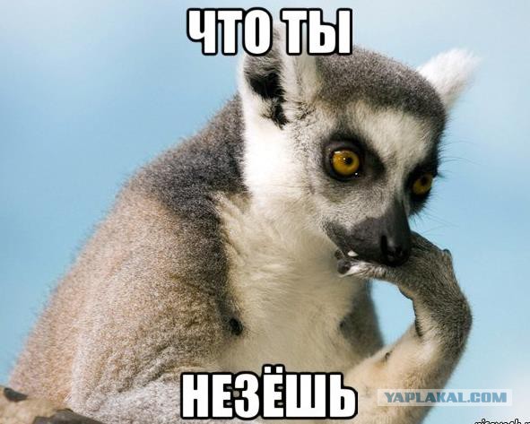 Украина хочет обсудить с РФ возвращение