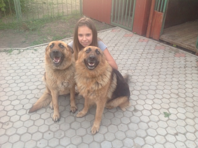 Мой малый друг Мухтар