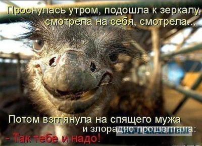 Поднимаем настроение