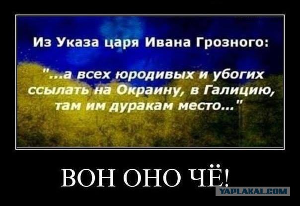 Владимир Путин обратился к ополчению Новороссии