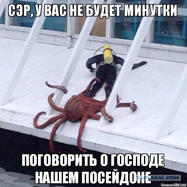 Всем зеленки!