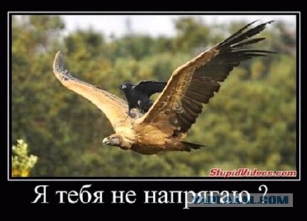 Соседям с перфоратором
