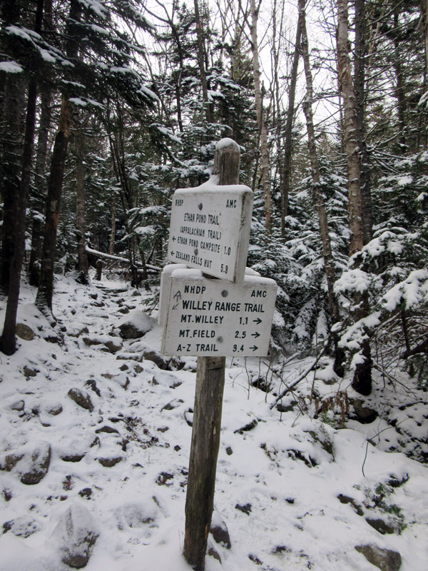 Деревенская Америка