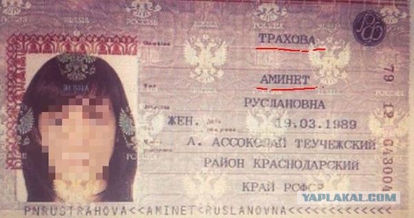 Мой первый заработок