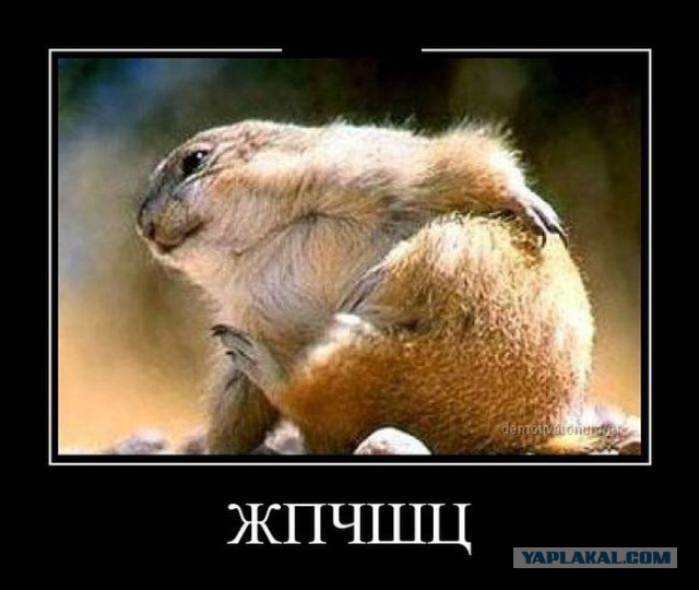 Подборка картинок
