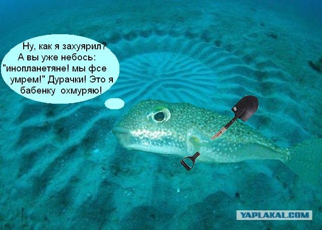 Мистические круги