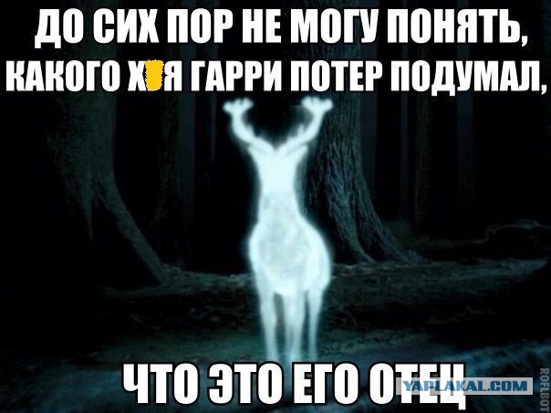 С чего начинался "Гарри Поттер"