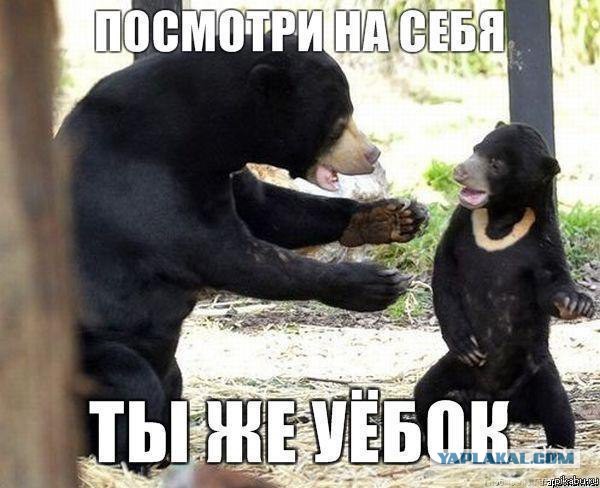 Неадекваты на Ауди...