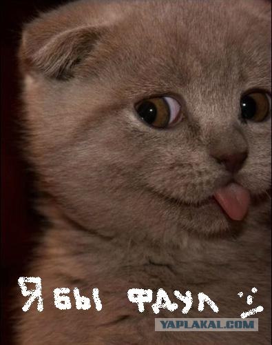 Другая Beyonce