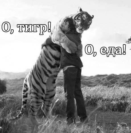 Надо срочно обняться! Обними меня, человек!