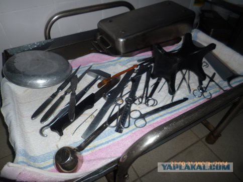 Новые трудовыебудни