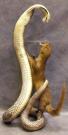 ГРЫЗУНЫ. Мыши, крысы, хомячки и т.д.
