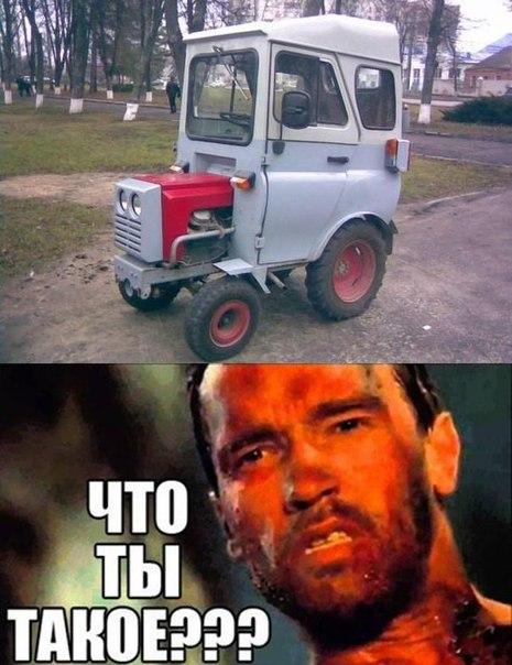 Картинки  из сети
