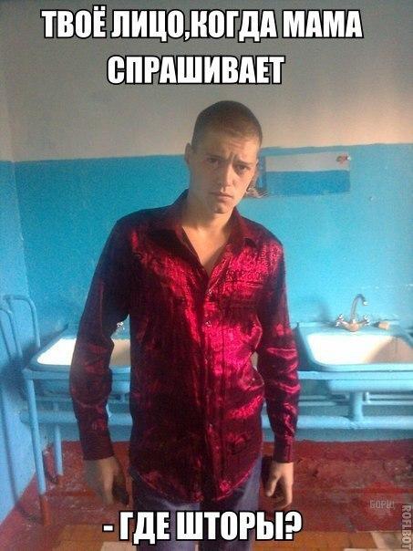 Забавные картинки из Сети