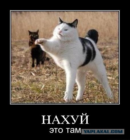 Кто как похмеляется?