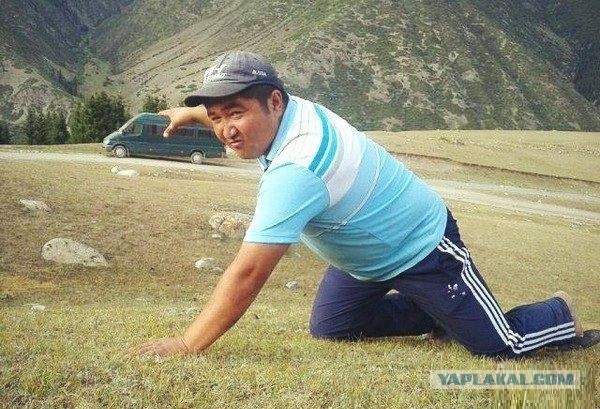 Весёлые картинки