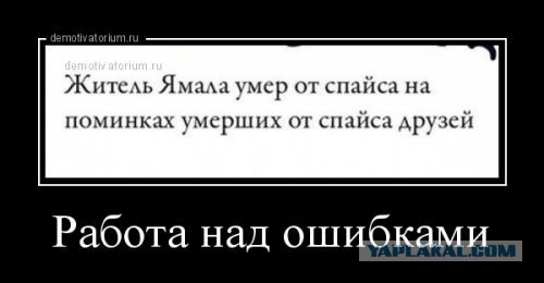 Подборка интересных и веселых картинок