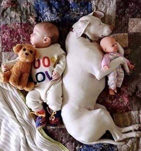 Прикольные и интересные фото