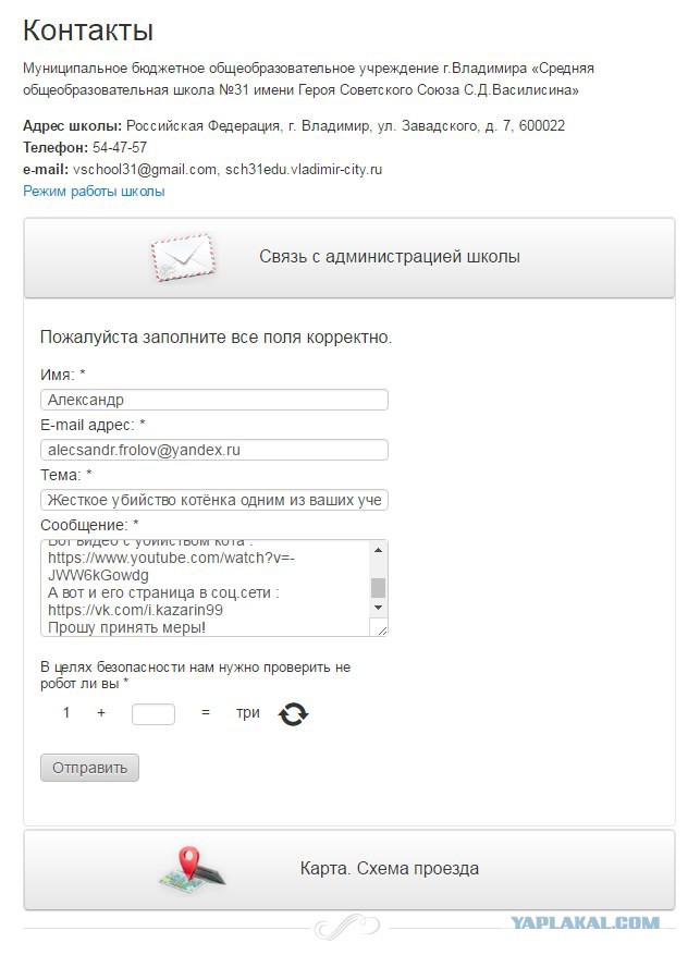 Во Владимире подростки сняли на видео жестокое убийство котёнка