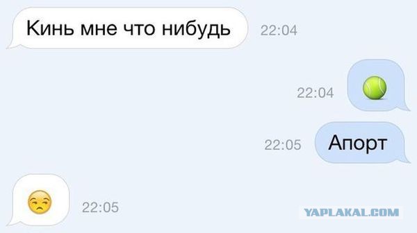Смешные комментарии из социальных сетей 26.08.2016